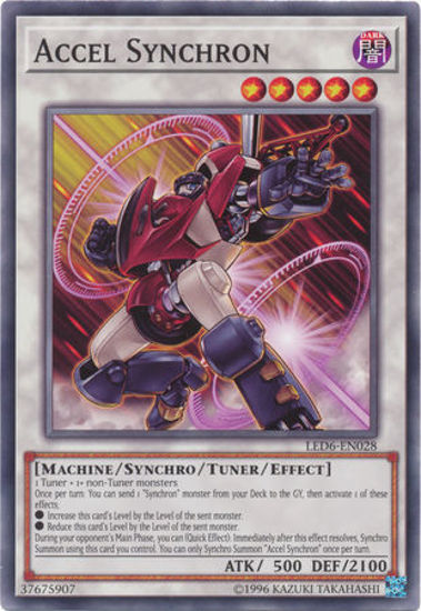 Accel Synchron - LED6-EN028 - Common Unlimited