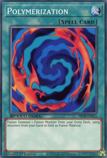 Polymerization - SBCB-EN011 - Common 1st Edition