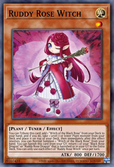 Ruddy Rose Witch - LIOV-EN010 - Super Rare 1st Edition