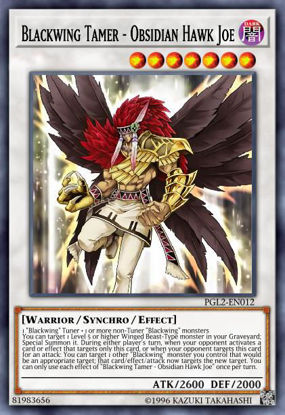 Blackwing Tamer - Obsidian Hawk Joe - LDS2-EN042 - Common 1st Edition