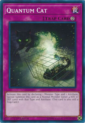 Quantum Cat - SDCL-EN037 - Common 1st Edition