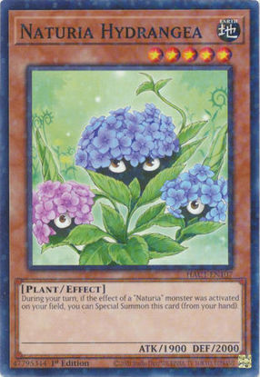 Naturia Hydrangea - HAC1-EN107 - Duel Terminal Normal Parallel Rare 1st Edition