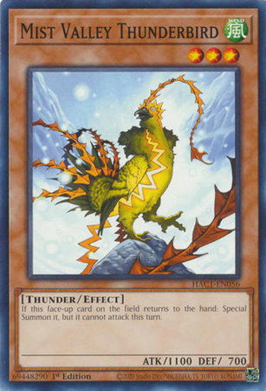 Mist Valley Thunderbird - HAC1-EN056 - Common 1st Edition