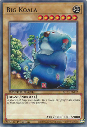 Big Koala - SGX1-ENI02 - Common 1st Edition