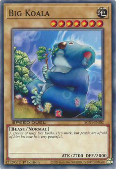 Big Koala - SGX1-ENI02 - Common 1st Edition