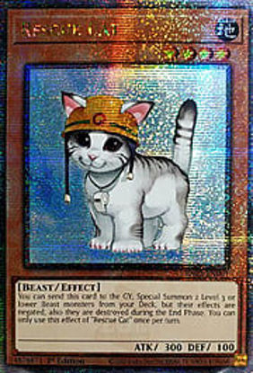 Rescue Cat - RA02-EN001 - (V.5 - Quarter Century Secret Rare) 1st Edition