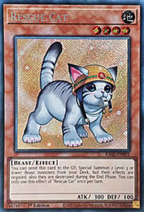 Rescue Cat - RA02-EN001 - (V.10 - Secret Rare) 1st Edition