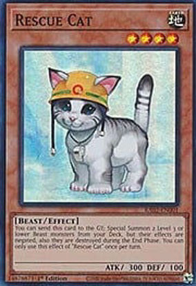 Rescue Cat - RA02-EN001 - (V.1 - Super Rare) 1st Edition