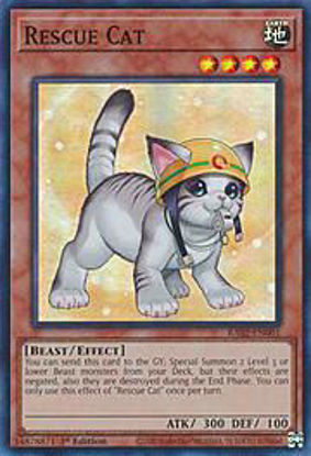 Rescue Cat - RA02-EN001 - (V.8 - Super Rare) 1st Edition