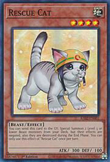 Rescue Cat - RA02-EN001 - (V.8 - Super Rare) 1st Edition