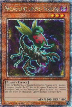 Predaplant Ophrys Scorpio - MP24-EN041 - Quarter Century Secret Rare 1st Edition