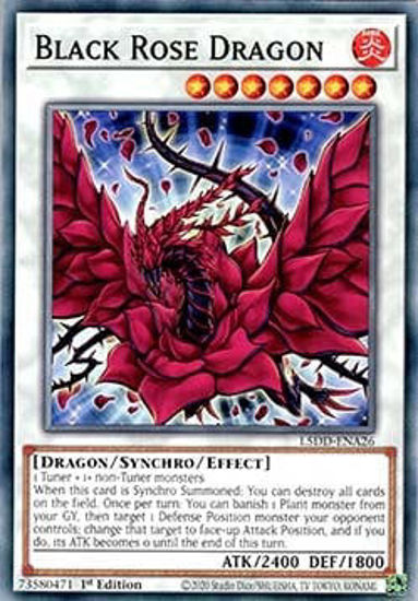 Black Rose Dragon - L5DD-ENA26 - Common 1st Edition
