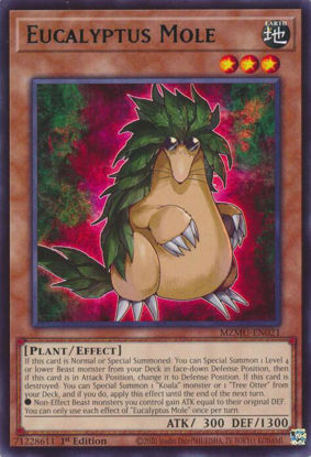 Eucalyptus Mole - MZMU-EN021 - Rare 1st Edition