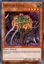 Ibicella Lutea - IGAS-EN027 - Rare 1st Edition
