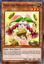 Prediction Princess Coinorma - DLCS-EN081 - Common 1st Edition