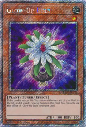 Glow-Up Bulb - RA03-EN245 - Quarter Century Secret Rare 1st Edition