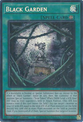 Black Garden - MP25-EN132 - Starlight Rare 1st Edition
