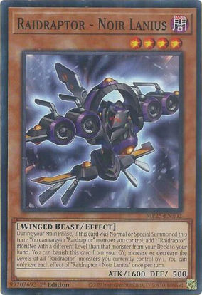 Raidraptor - Noir Lanius - MP25-EN302 - Common 1st Edition
