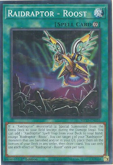 Raidraptor - Roost - MP25-EN316 - Common 1st Edition