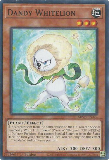 Dandy Whitelion - MP25-EN377 - Common 1st Edition