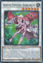 Serene Psychic Sorceress - DOOD-EN042 - Common 1st Edition